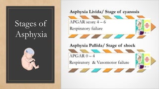 Stages of
Asphyxia
Asphyxia Livida/ Stage of cyanosis
APGAR score 4 – 6
Respiratory failure
Asphyxia Pallida/ Stage of shock
APGAR 0 – 4
Respiratory & Vasomotor failure
 