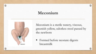 Meconium
Meconium is a sterile watery, viscous,
greenish yellow, odorless stool passed by
the newborn
 Formed before neonate digests
breastmilk
 
