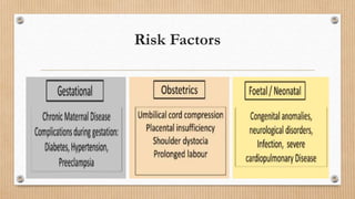 Risk Factors
 