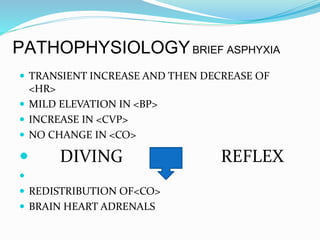PATHOPHYSIOLOGYBRIEF ASPHYXIA
 TRANSIENT INCREASE AND THEN DECREASE OF
<HR>
 MILD ELEVATION IN <BP>
 INCREASE IN <CVP>
 NO CHANGE IN <CO>
 DIVING REFLEX

 REDISTRIBUTION OF<CO>
 BRAIN HEART ADRENALS
 