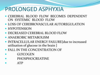 PROLONGED ASPHYXIA
 CEREBRAL BLOOD FLOW BECOMES DEPENDENT
ON SYSTEMIC BLOOD FLOW
 LOSS OF CEREBROVASCULAR AUTOREGULATION
 HYPOTENSION
 DECREASED CEREBRAL BLOOD FLOW
 ANAEROBIC METABOLISM
 INTRACELLULAR ENERGY FAILURE{due to increased
utilisation of glucose in the brain }
 FALL IN THE CONCENTRATION OF
 GLYCOGEN
 PHOSPHOCREATINE
 ATP
 
