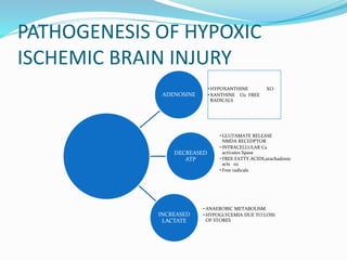 PATHOGENESIS OF HYPOXIC
ISCHEMIC BRAIN INJURY
ADENOSINE
•HYPOXANTHINE XO
•XANTHINE O2 FREE
RADICALS
DECREASED
ATP
•GLUTAMATE RELEASE
NMDA RECEDPTOR
•INTRACELLULAR Ca
activates lipase
•FREE FATTY ACIDS,arachadonic
acis o2
•Free radicals
INCREASED
LACTATE
•ANAEROBIC METABOLISM
•HYPOGLYCEMIA DUE TO LOSS
OF STORES
 