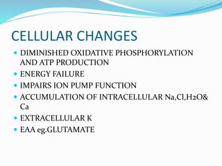 CELLULAR CHANGES
 DIMINISHED OXIDATIVE PHOSPHORYLATION
AND ATP PRODUCTION
 ENERGY FAILURE
 IMPAIRS ION PUMP FUNCTION
 ACCUMULATION OF INTRACELLULAR Na,Cl,H2O&
Ca
 EXTRACELLULAR K
 EAA eg.GLUTAMATE
 