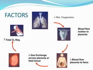FACTORS  Mat. Oxygenation
 Blo
Blood flow
mother to
placenta
 Blood flow
placenta to fetus
 Gas Exchange
across placenta or
fetal tissue
 Fetal O2 Req.
 