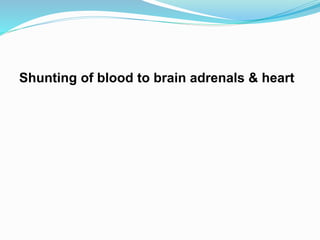 Shunting of blood to brain adrenals & heart
 