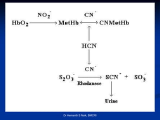 Dr Hemanth S Naik, BMCRI
 