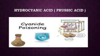 HYDROCYANIC ACID ( PRUSSIC ACID )
 