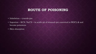 ROUTE OF POISONING
• Inhalation – cyanide gas
• Ingestion – KCN, NaCN – in acidic ph of stomach get concerted to HOCL & and
become poisonous
• Skin absorption
 
