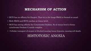 MECHANISM OF ACTION
• HCN has no affinity for Oxygen. Thus at in the lungs HbO2 is formed as usual.
• Both HbO2 and HCN reaches at tissue level.
• HCN has strong affinity for Cytochrome Oxidase. So at tissue level it forms
cytochrome Oxidase Cyanide complex.
• Cellular transport of oxygen is blocked causing tissue hypoxia, causing cell death.
HISTOTOXIC ANOXIA
 
