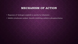 MECHANISM OF ACTION
• Exposure of hydrogen sulphide is mainly by inhalation .
• Inhibit cytochrome oxidase thereby inhibiting oxidative phosphorylation
 