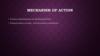 MECHANISM OF ACTION
• Causes carbamylation at biochemical level
• Irritant action on skin , eyes & mucous membrane
 