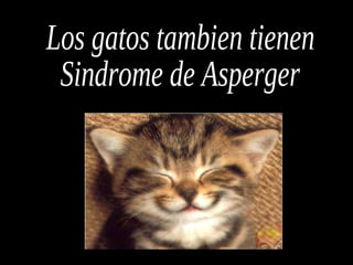 Los gatos tambien tienen Sindrome de Asperger 