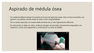 Aspirado de médula ósea
◦ Un asistente deberá evaluar la muestra en busca de espículas óseas. Esto se hace poniendo una
gota en una platina, donde existe se verán como irregularidades.
◦ De no existir espículas, la muestra debe tomarse de un sitio ligeramente diferente.
◦ En este punto se debe ser veloz, se llenan jeringas secuenciales previamente preparados con
heparina u otros anticoagulantes a continuación se retira el estilete.
 