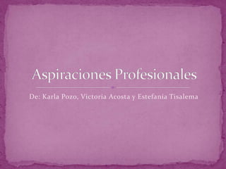 De: Karla Pozo, Victoria Acosta y Estefanía Tisalema Aspiraciones Profesionales 