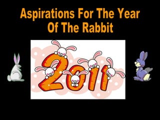 Aspirations For The Year Of The Rabbit 