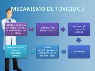 Afecta al equilibrio
del medio interno y
al metabolismo de
las células.
Disminuye la
síntesis de ATP
Aumenta el
consumo de
Oxígeno
Hipertermia
Inhibe
deshidrogenasas e
interfiere con el
ciclo de Krebs.
Hiperventilación,
alcalosis
respiratoria,
vómitos.
 