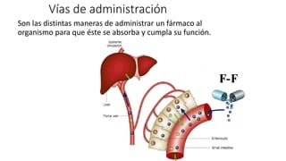 Vías de administración
Son las distintas maneras de administrar un fármaco al
organismo para que éste se absorba y cumpla su función.
 