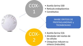 COX-
1
• Acetila Serina 530
• Retículo endoplásmico
• Constitutiva
COX-
2
• Acetila Serina 516
• Alrededor del núcleo de
las células
• Citoquínas inducen su
síntesis (Inducible)
INHIBE SÍNTESIS DE
PROSTAGLANDINAS y
TROMBOXANO
 