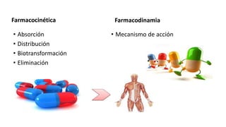 Farmacocinética
• Absorción
• Distribución
• Biotransformación
• Eliminación
Farmacodinamia
• Mecanismo de acción
 