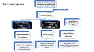 Fosfolípidos de la membrana
Acido araquidónico
Ciclooxigenasa
COX 1
(constitutiva)
Prostaglandinas
Tromboxano
Producción de moco gástrico
Función renal
Función plaquetaria
Ciclooxigenasa
COX 2
(Inducible)
Prostaciclinas
Respuesta inflamatoria
Mediadora del dolor
fiebre
Lipooxigenasa
LOX
Leucotrienos
Lipoxinas
Mediadores de la
vasoconstricción, aumento de la
permeabilidad vascular
Farmacodinamia
Fosfolipasa A2
 