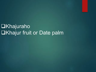 Khajuraho
Khajur fruit or Date palm
 