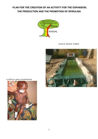 PLAN FOR THE CREATION OF AN ACTIVITY FOR THE EXPANSION,
              THE PRODUCTION AND THE PROMOTION OF SPIRULINA




                                           A pool of spirulina in Bakel




A child in a state of malnutrition




                                     1
 