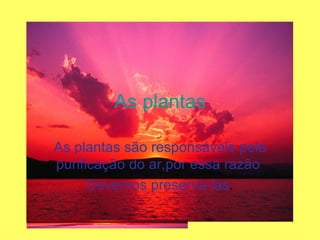 As plantas As plantas são responsáveis pela purificação do ar,por essa razão  Devemos preserva-las . 