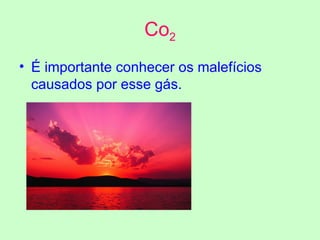 Co 2 É importante conhecer os malefícios causados por esse gás.   