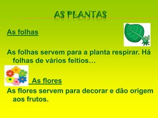 As PlantasAs folhasAs folhas servem para a planta respirar. Há folhas de vários feitios…             As floresAs flores servem para decorar e dão origem aos frutos.