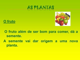 As PlantasO fruto O fruto além de ser bom para comer, dá a semente.A semente vai dar origem a uma nova planta.