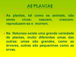 As PlantasAs plantas, tal como os animais, são seres vivos: nascem, crescem, reproduzem-se e  morrem.Na  Natureza existe uma grande variedade de plantas, muito diferentes umas das outras: umas são grandes, como as árvores, outras são pequeninas como as ervas.