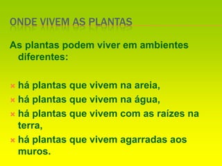 Onde vivem as plantas As plantas podem viver em ambientes diferentes:há plantas que vivem na areia,há plantas que vivem na água,há plantas que vivem com as raízes na terra,há plantas que vivem agarradas aos muros.