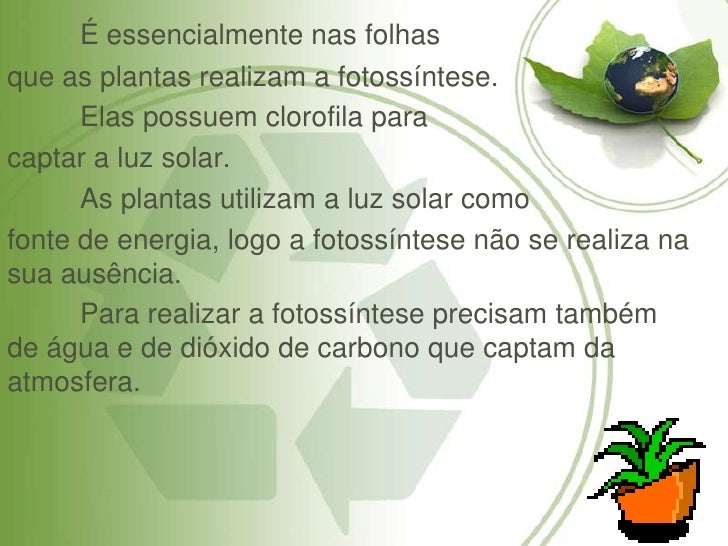 As Plantas Como Se Alimentam