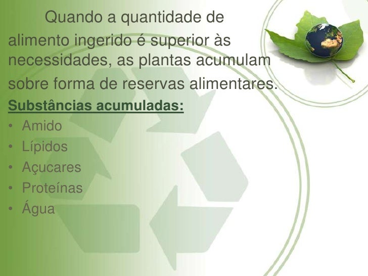 As Plantas Como Se Alimentam