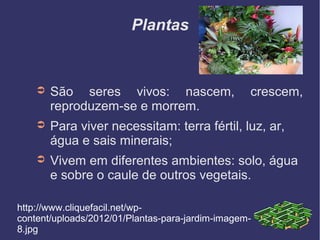 Plantas


    ➲   São seres vivos: nascem,                  crescem,
        reproduzem-se e morrem.
    ➲   Para viver necessitam: terra fértil, luz, ar,
        água e sais minerais;
    ➲   Vivem em diferentes ambientes: solo, água
        e sobre o caule de outros vegetais.

http://www.cliquefacil.net/wp-
content/uploads/2012/01/Plantas-para-jardim-imagem-
8.jpg
 