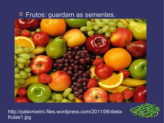 ➲   Frutos: guardam as sementes.




http://palavroeiro.files.wordpress.com/2011/06/dieta-
frutas1.jpg
 