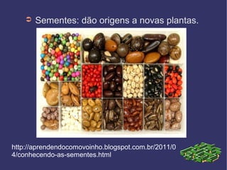 ➲   Sementes: dão origens a novas plantas.




http://aprendendocomovoinho.blogspot.com.br/2011/0
4/conhecendo-as-sementes.html
 