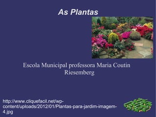 As Plantas




         Escola Municipal professora Maria Coutin
                        Riesemberg



http://www.cliquefacil.net/wp-
content/uploads/2012/01/Plantas-para-jardim-imagem-
4.jpg
 