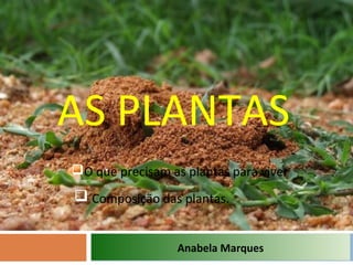 AS PLANTAS
Anabela Marques
O que precisam as plantas para viver.
 Composição das plantas.
 