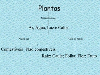 Plantas 
Necessitam de 
Ar, Água, Luz e Calor 
Podem ser 
Comestíveis Não comestíveis 
Com as partes 
Raiz; Caule; Folha; Flor; Fruto 
 