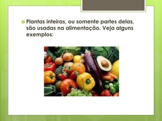  Plantas inteiras, ou somente partes delas, 
são usadas na alimentação. Veja alguns 
exemplos: 
 