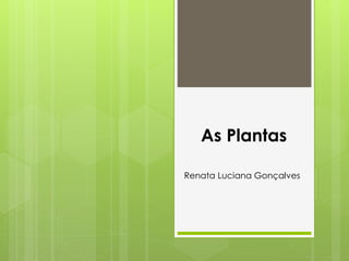 As Plantas 
Renata Luciana Gonçalves 
 