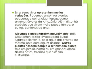  Esses seres vivos apresentam muitas 
variações. Podemos encontrar plantas 
pequenas e outras gigantescas, como 
algumas árvores da Amazônia. Além disso, há 
espécies que vivem muito pouco tempo; e 
outras, centenas de anos. 
Algumas plantas nascem naturalmente, pois 
suas sementes são levadas para outros 
lugares pelo vento, pela água das chuvas, ou 
mesmo junto com alguns animais. Outras 
plantas nascem porque o ser humano planta, 
seja em jardins, hortas ou em grandes áreas. 
Nesses casos, falamos que elas são 
cultivadas. 
 