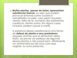  Muitas plantas, apesar de belas, apresentam 
substâncias tóxicas, ou seja: que podem 
provocar sintomas como coceira e 
vermelhidão na pele, caso sejam tocadas; 
vômito, falta de ar, aumento dos batimentos 
cardíacos, dentre outros. Em alguns casos, 
inclusive, podem causar a morte. 
A presença dessas substâncias é uma forma 
de defesa da planta a seus predadores 
(aqueles animais que se alimentam dela). 
Assim, ao provar um pedaço de algumas 
dessas plantas e não passar bem, dificilmente 
um animal fará isso de novo com esse 
vegetal, ou outro parecido. 
 