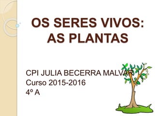 OS SERES VIVOS:
AS PLANTAS
CPI JULIA BECERRA MALVAR
Curso 2015-2016
4º A
 