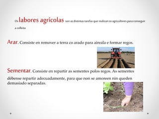 Os labores agrícolas son as distintas tarefas que realizan os agricultores para conseguir
a colleita
Arar. Consiste en remover a terra co arado para aireala e formar regos.
Sementar. Consiste en repartir as sementes polos regos. As sementes
débense repartir adecuadamente, para que non se amoreen nin queden
demasiado separadas.
 