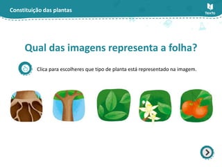 Constituição das plantas
Clica para escolheres que tipo de planta está representado na imagem.
Qual das imagens representa a folha?
 