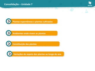 Consolidação – Unidade 7
Plantas espontâneas e plantas cultivadas
Ambientes onde vivem as plantas
Constituição das plantas
Variações do aspeto das plantas ao longo do ano
 
