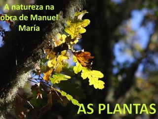 A natureza na
obra de Manuel
María
 