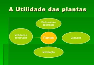 A Utilidade das plantas 